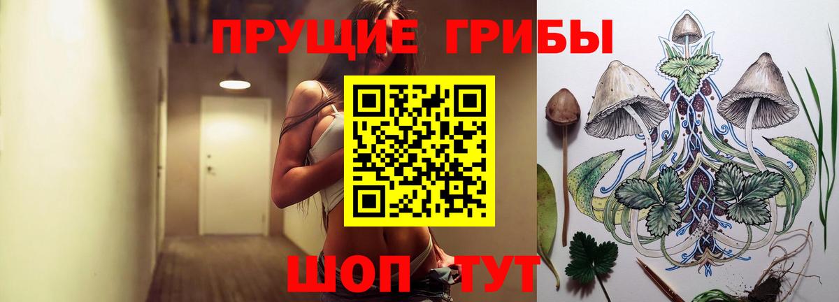 Псилоцибиновые грибы Cubensis  Вход с VPN  Углич 