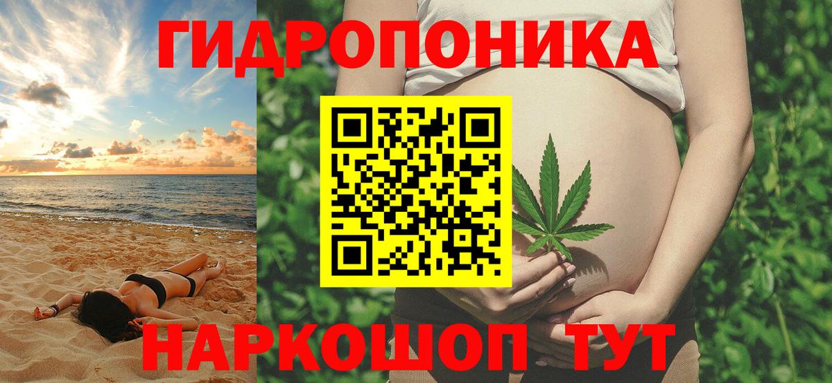 Бошки Шишки конопля Углич